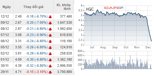  Hôm nay (13/12) sẽ là phiên giảm sàn thứ 10 liên tiếp của HQC 
