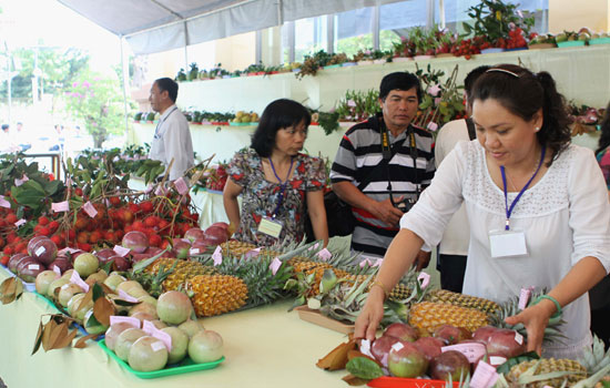 
Trái cây Việt được kỳ vọng sẽ đem lại nhiều lợi nhuận cho ngành nông nghiệp nước nhà.
