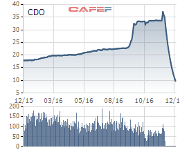 
Cổ phiếu CDO lao dốc không phanh, nhiều nhà đầu tư mất tết
