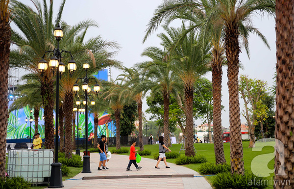 
Những h&agrave;ng c&acirc;y đang được trồng, hứa hẹn sẽ phủ xanh to&agrave;n c&ocirc;ng vi&ecirc;n sau một thời gian.
