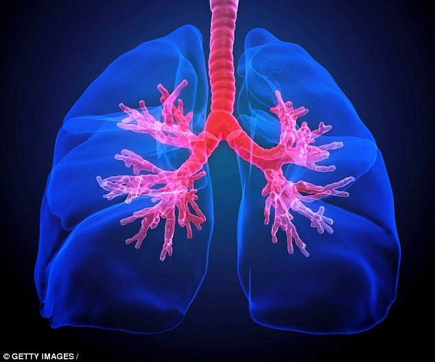 
Các chuyên gia nói rằng những phát hiện có thể giúp giảm nhiễm trùng đường hô hấp cấp tính.

