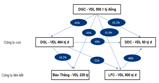  Tỷ lệ sở hữu của DGC tại các công ty con. Nguồn: DGC. 