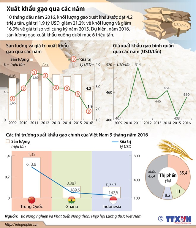 infographics-t-nh-h-nh-xu-t-kh-u-g-o-c-a-vi-t-nam-qua-c-c-n-m
