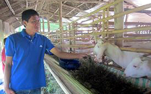 
Phong trào nuôi dê ở tỉnh Tiền Giang đang phát triển mạnh.

