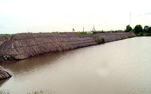 
Không bán được muối, diêm dân đưa vào bảo quản trong những tu lợp bằng lá dừa nước khiến muối bị hao hụt đáng kể.
