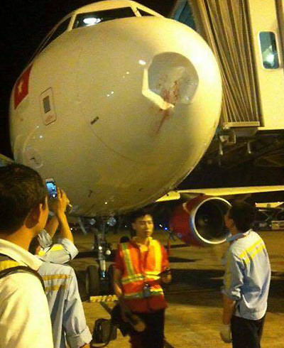 
Trước đây đã có 1 máy bay bị chim va vào gây móp đầu máy bay tại sân bay Nội Bài. Ảnh Việt Anh.

