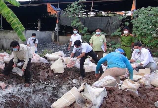 Lực lượng chức năng tiến hành tiêu huỷ hơn 2 tấn sụn gà không rõ nguồn gốc. Ảnh C.A.