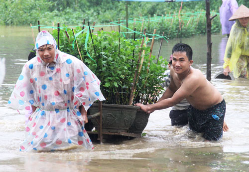 
Người dân Quảng Ngãi cố gắng cứu hoa sau khi bị lũ nhấn chìm Ảnh: TỬ TRỰC
