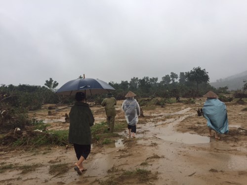
Gần 1 tháng trôi qua, người dân trồng bưởi Phúc Trạch ở huyện Hương Khê, tỉnh Hà Tĩnh vẫn chưa nguôi nỗi đau xót khi nhìn những vườn bưởi tan hoang trơ gốc, gãy đổ… 
