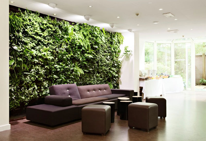 
Phòng khách nhà bạn sẽ trở nên đặc biệt hơn nhiều với bức tường độc đáo này. Cây xanh giúp làm tăng sự tĩnh lặng cho ngôi nhà.

 
