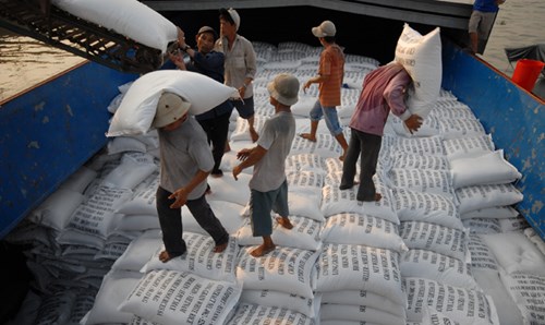
Nhiều năm nay, dù xuất khẩu hàng triệu tấn/năm, gạo Việt vẫn chưa có “tên tuổi” trên thế giới. Ảnh: Phương Chăm.
