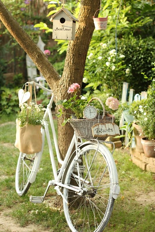 
Sân vườn nhà bạn sẽ cực kì lãng mạn và lôi cuốn với chiếc xe đạp màu trắng tinh khôi này.

 
