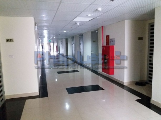 
Rất nhiều căn hộ được đ&acirc;p th&ocirc;ng nhau.
