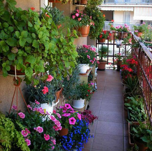 Phương pháp trồng cây xanh ở ban công sẽ mang lại sức sống và màu sắc cho ngôi nhà, làm cho không gian sống trở nên sống động, gần gũi với thiên nhiên và cũng là cách để hạ nhiệt cho những ngày nắng nóng.