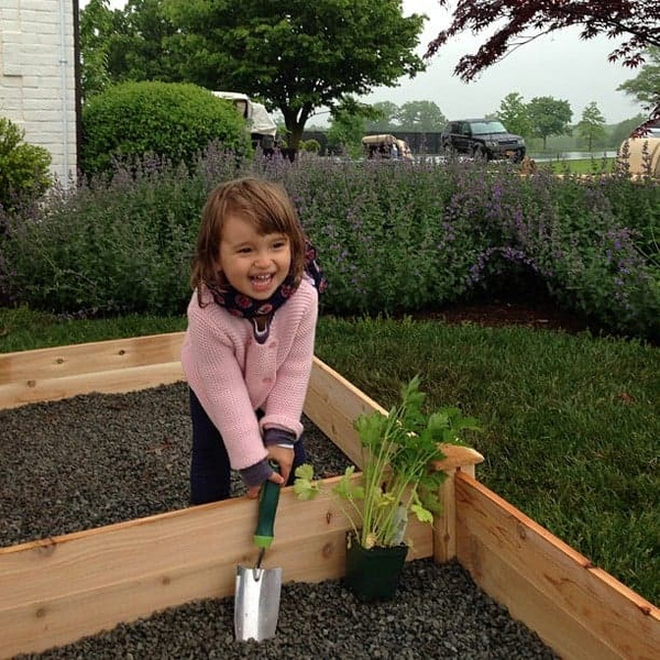 Bé Arabella hào hứng thiết lập khu vườn đầu tiên của mình.