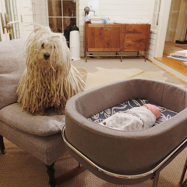 Beast trông nom Max từ khi mới chào đời.