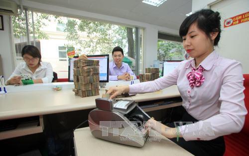 Nhiều phân tích cho rằng tỷ giá của Việt Nam vẫn sẽ tiếp tục xu thế ổn định. Ảnh: TTXVN
