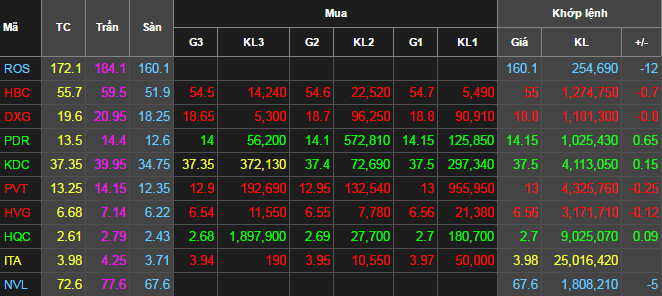 ROS, NVL đồng loạt giảm sàn