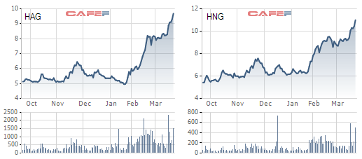  Cổ phiếu HAG, HNG tăng gần gấp đôi so với thời điểm đầu năm 2017 
