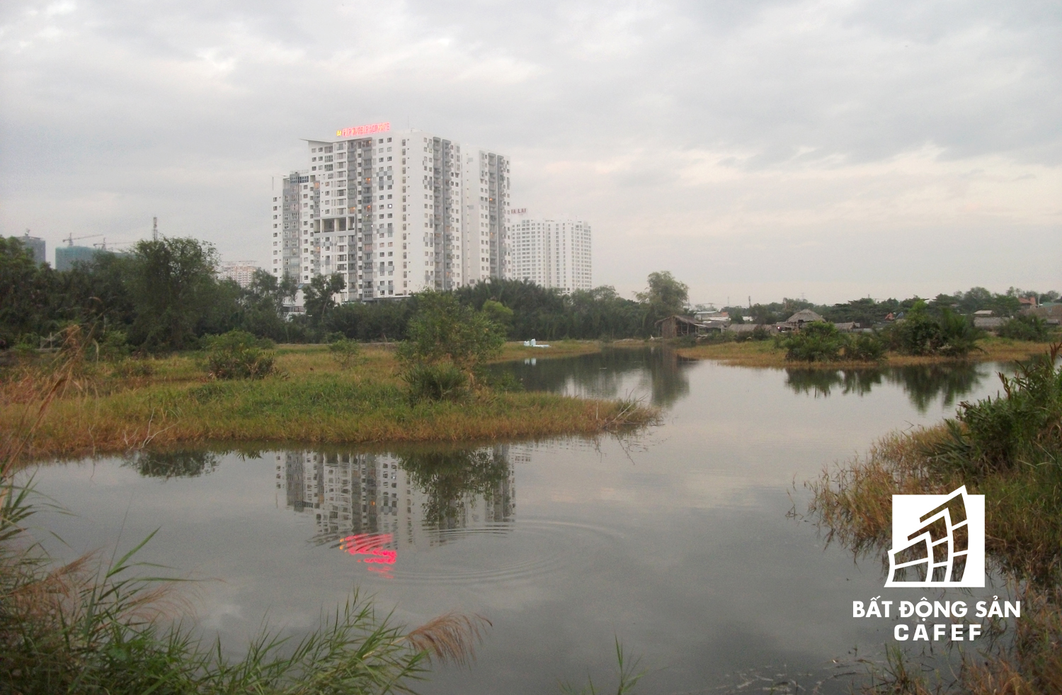 Bốn bề dự án đều cỏ hoang, nhiều hố sâu đọng nước. Trong khi người dân sinh sống tạm bợ ở đây đang làm ô nhiễm cả khu vực bởi xả thải thẳng ra đất dự án.