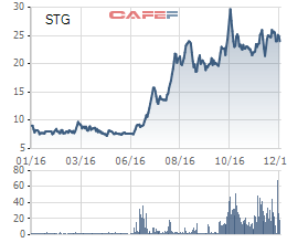 
Thị giá cổ phiếu STG hiện dao động quanh ngưỡng 24.000 đồng/cp
