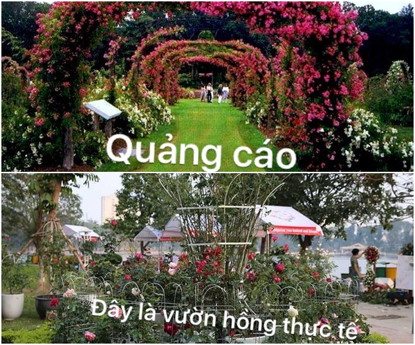 Lễ hội hoa thật khác xa lời quảng cáo.