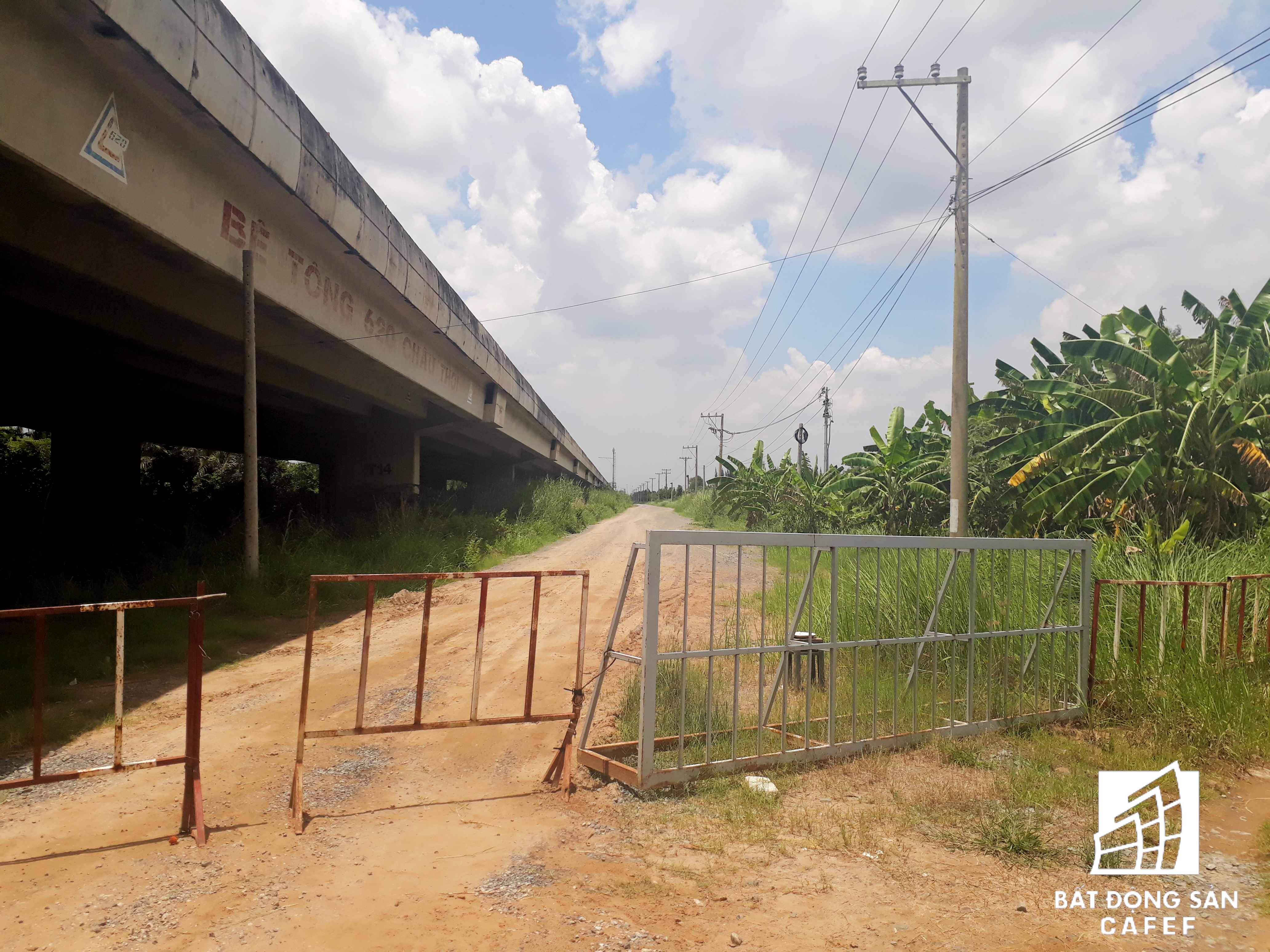 Cận cảnh Happyland – siêu dự án 2 tỷ USD hoang vu tại Long An - Ảnh 4. Cận cảnh Happyland – siêu dự án 2 tỷ USD hoang vu tại Long An - Ảnh 4.