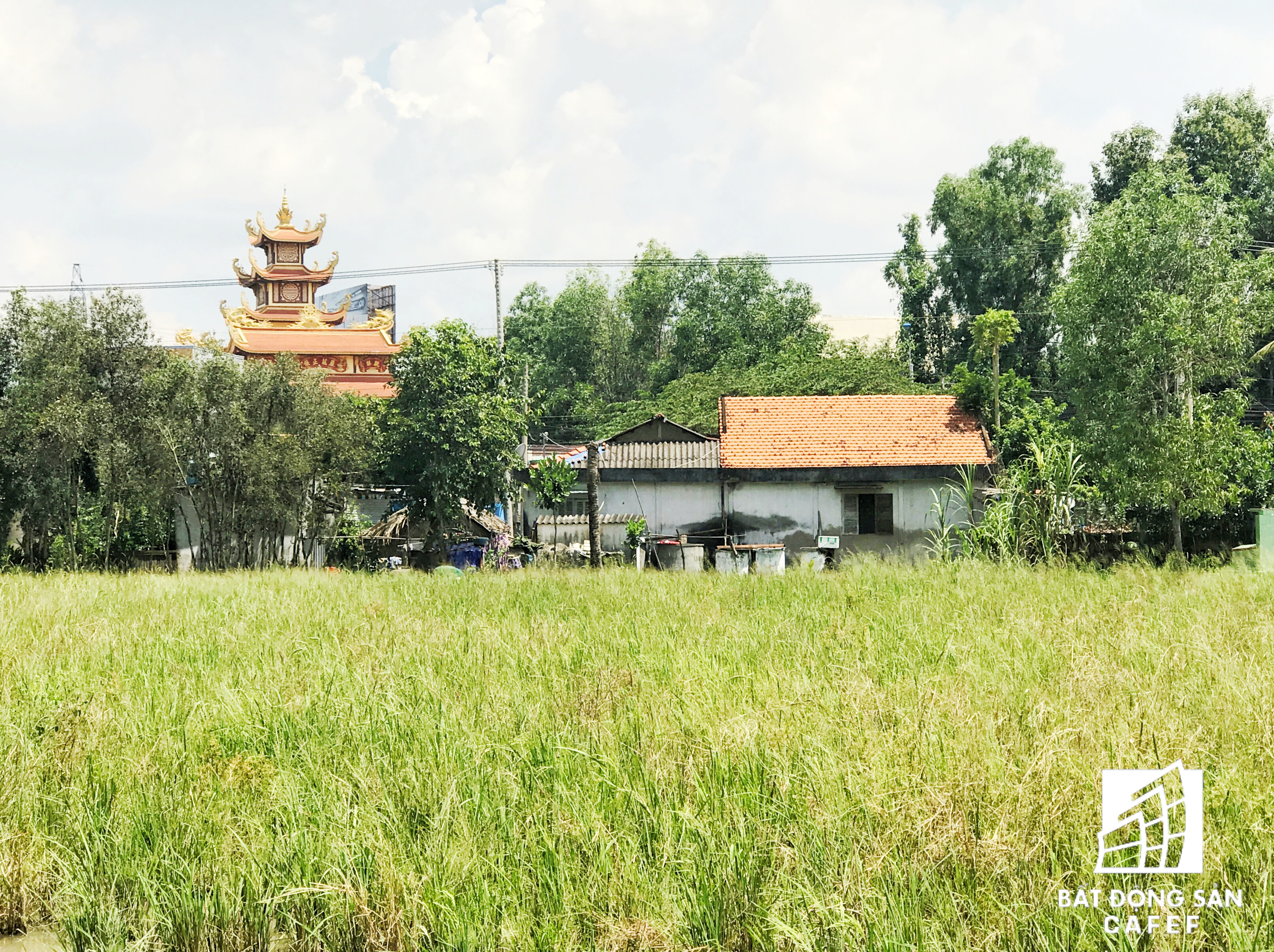 Cận cảnh Happyland – siêu dự án 2 tỷ USD hoang vu tại Long An - Ảnh 22. Cận cảnh Happyland – siêu dự án 2 tỷ USD hoang vu tại Long An - Ảnh 22.