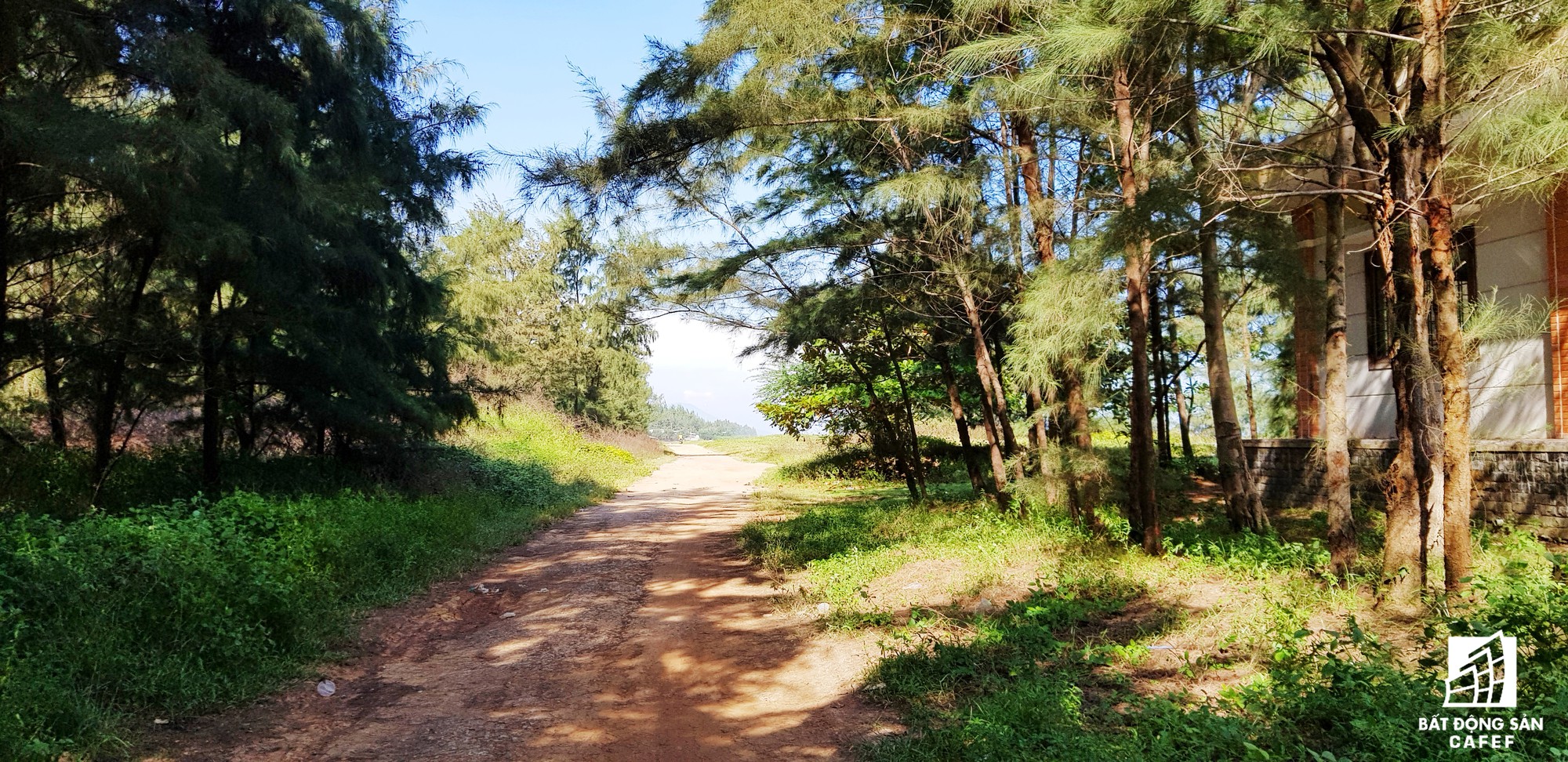 Nơi đây giống một căn nhà hoang hơn là một văn phòng của một Công ty đại chúng đang niêm yết cổ phiếu trên thị trường chứng khoán VN.