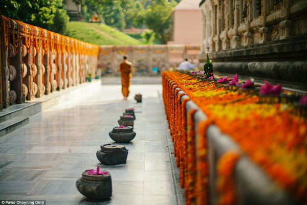 
Hoa sen hồng tượng trưng cho những vị thần ở ngôi cao nhất theo tín ngưỡng Bhutan, sen trắng dành cho đức Phật.
