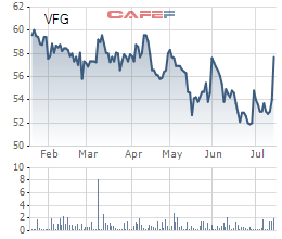
Diễn biến cổ phiếu VFG trong 6 tháng gần nhất
