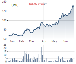 Giá cổ phiếu DMC đã tăng bằng lần chỉ sau 6 tháng