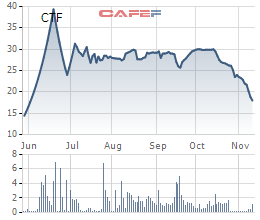City Auto (CTF): Giá xe xuống thấp, doanh thu đạt gần ngàn tỷ, lãi chưa đến 1 tỷ - Ảnh 1.