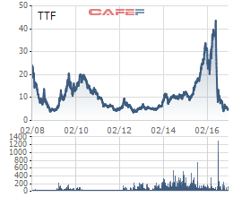 Cổ phiếu TTF đã giảm không phanh trong năm 2016