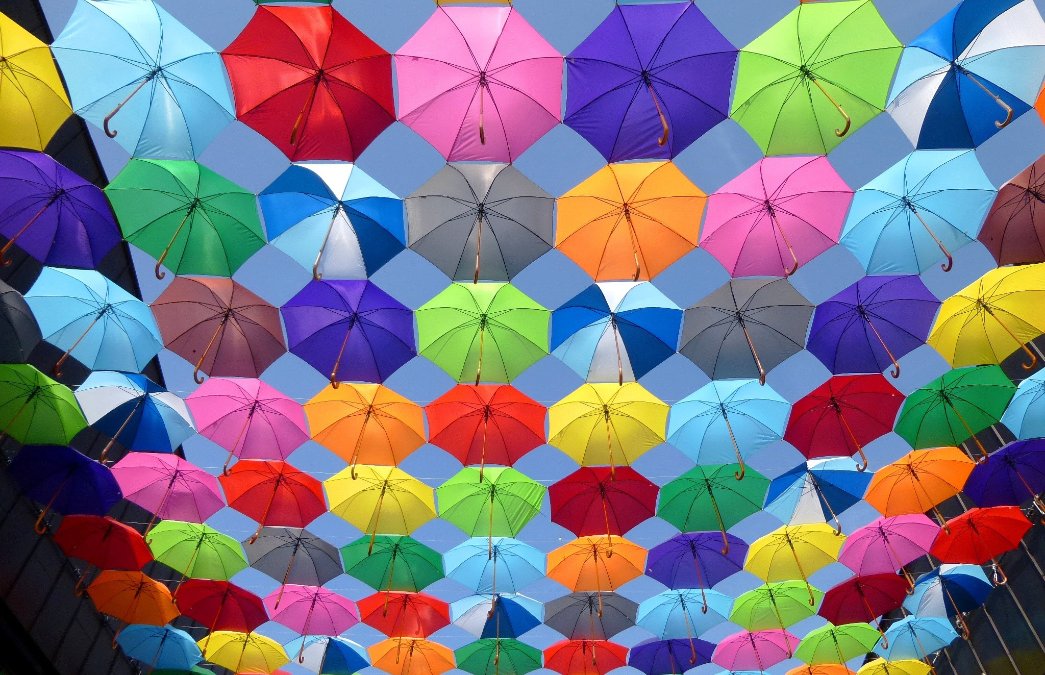 Cuộc sống tẻ nhạt của tôi đã trở nên nhiều màu sắc nhờ chứng khoán