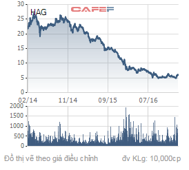 
Biến động giá cổ phiếu HAG trong 3 năm trở lại đây
