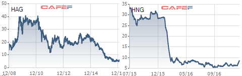 
Biến động giá cổ phiếu HAG và HNG từ khi niêm yết
