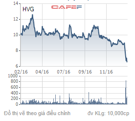 
Biến động giá cổ phiếu HVG trong 1 năm qua.
