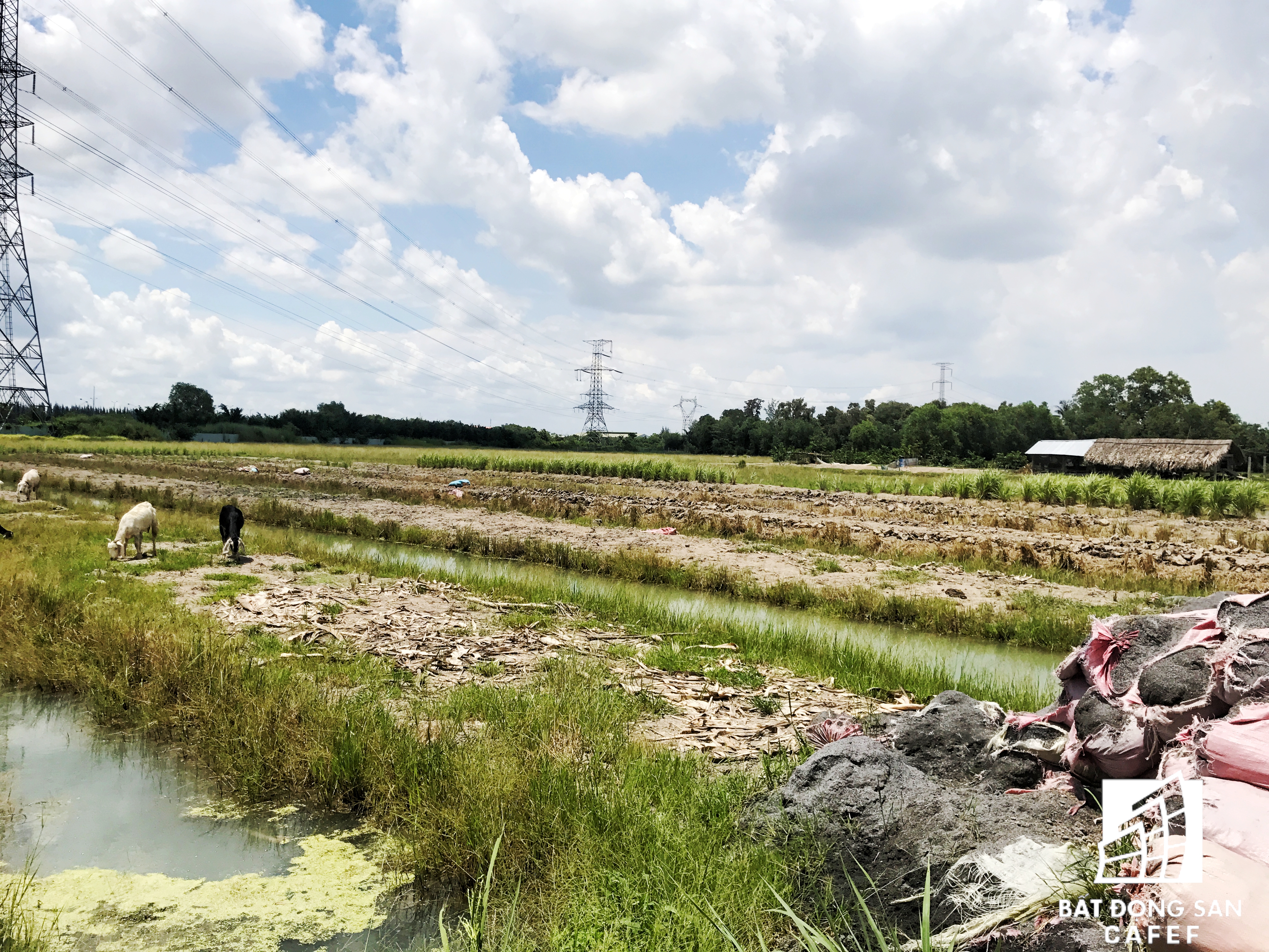 Cận cảnh Happyland – siêu dự án 2 tỷ USD hoang vu tại Long An - Ảnh 23. Cận cảnh Happyland – siêu dự án 2 tỷ USD hoang vu tại Long An - Ảnh 23.