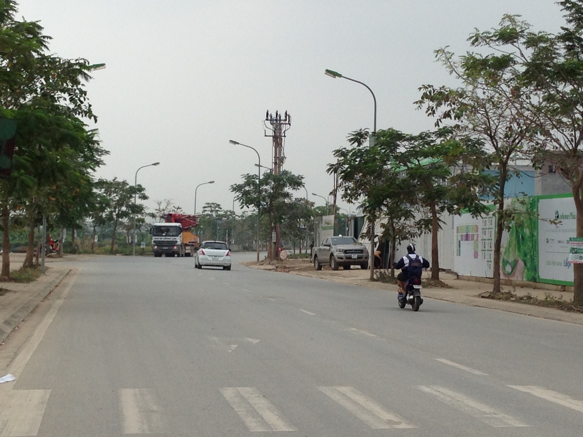 Đường Phúc Lợi khu vực chạy qua dự án.