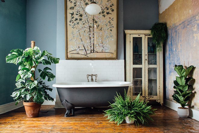 Việc trồng các cây cảnh, hoa trong nhà có thể làm cải thiện không khí, hạn chế ô nhiễm. Ảnh: Fleur.