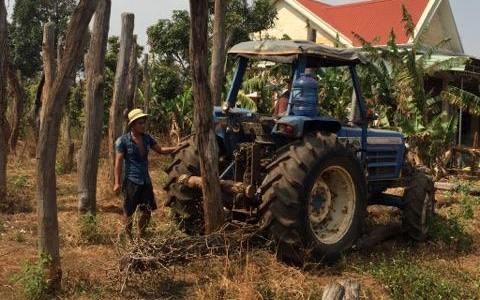   Gia đình bà Miếng phải thuê máy cày để nhổ trụ tiêu chết. Ảnh: Minh Quý.  