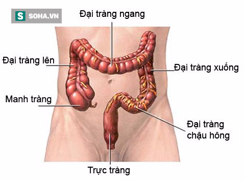 
Nhưng khi bác sĩ tư vấn và nói với bà nếu chết cả hai chị em cùng dắt tay nhau xuống âm phủ. Bà tin và bắt đầu vào cuộc phẫu thuật.
