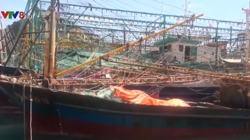 Nhiều tàu vỏ thép của ngư dân Bình Định bị hư hỏng nặng dù hoạt động chưa lâu.