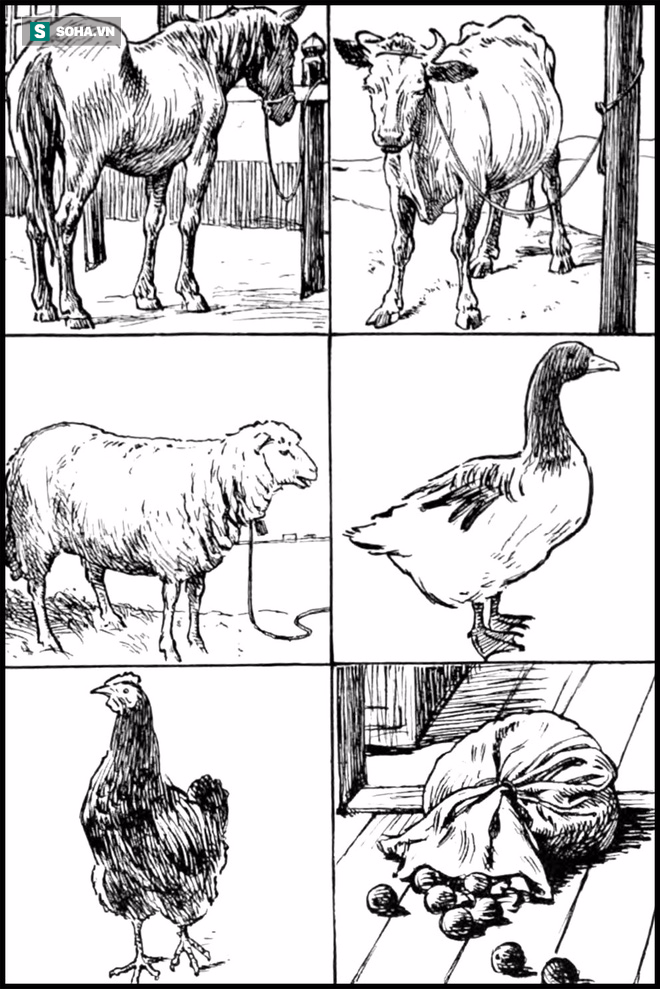 Sơ đồ trao đổi hàng hóa đầy thua thiệt của ông lão nhà nghèo.