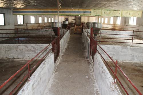 
Giá lợn hơi ở Đồng Nai, Bình Dương, Long An…giảm do nhu cầu tiêu thụ giảm với tác động của vụ việc lợn bị tiêm thuốc an thần tại lò mổ ở TP Hồ Chí Minh.
