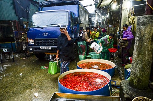 
Sáng sớm 19/1 (22 tháng Chạp) tại lối vào chợ nhiều người bắt gặp nhiều bể cá vàng với màu đỏ, vàng,...
