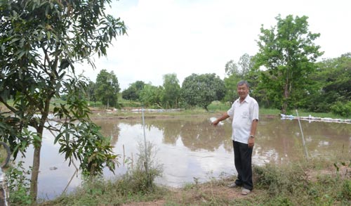 Hai ao nuôi cá tra của ông Nguyễn Hữu Nguyên đang được san lấp để trồng cây ăn trái