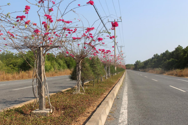 Đường Rừng Sát, tuyến đường chính nối trung tâm TP.HCM đến Cần Giờ dự kiến sẽ còn được nâng cấp mở rộng, khiến giá đất ven khu vực này đang được nhiều người săn mua. Ảnh: V.Văn.