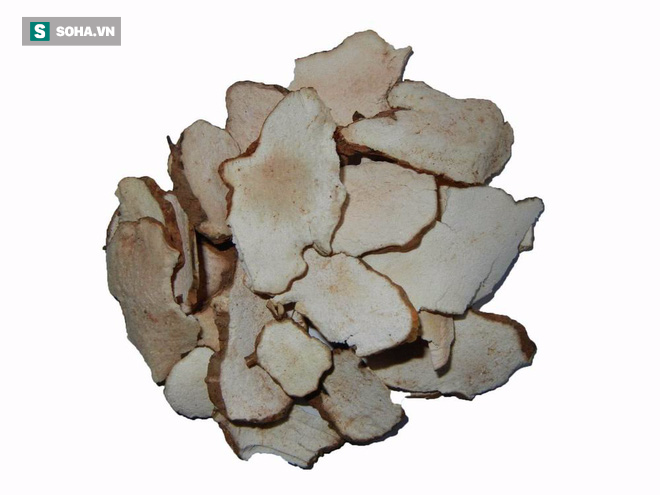 Thổ phục linh (Ảnh minh họa)